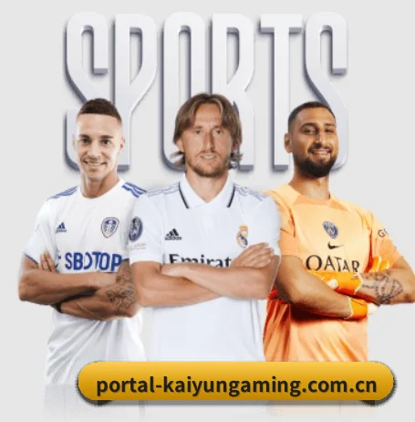 开云电竞入口 APP（KAIYUN ESPORTS）